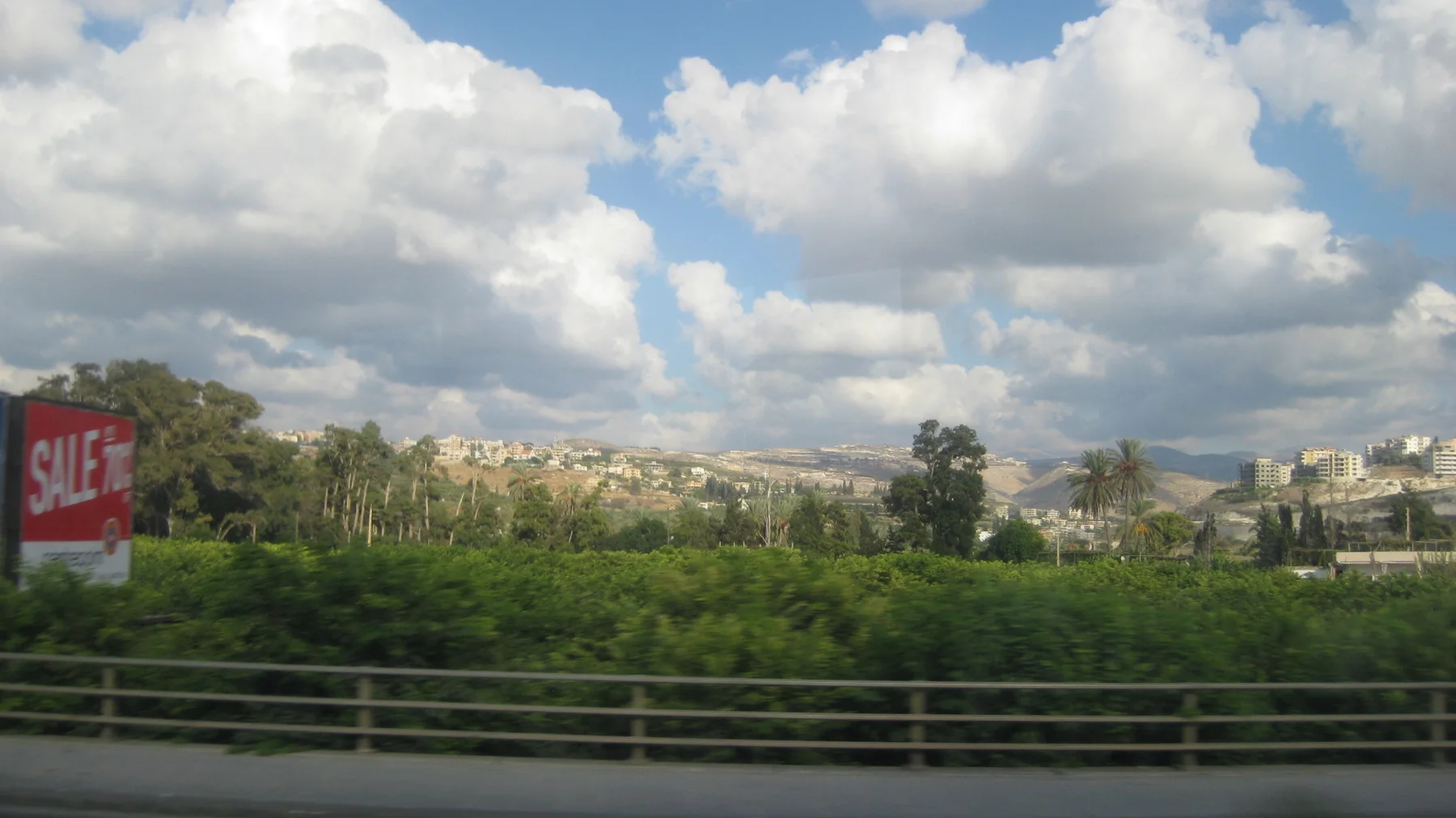 Dense greenery fills the foreground below a line of distant buildings and a cloud-filled sky.