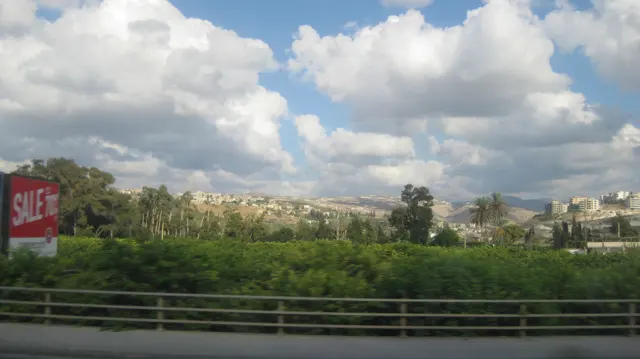 Dense greenery fills the foreground below a line of distant buildings and a cloud-filled sky.