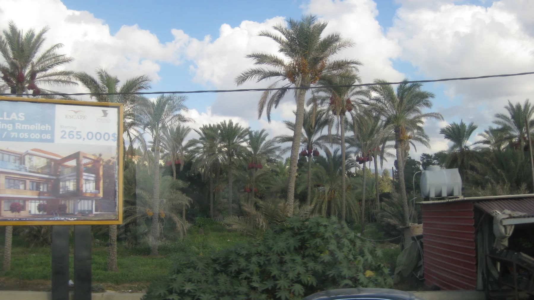 A large sign stands beside palms and dense foliage, with a small roadside structure below.