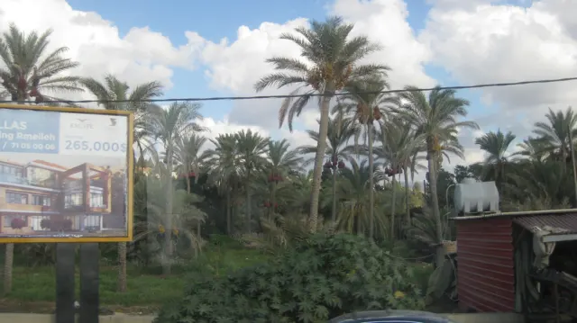 A large sign stands beside palms and dense foliage, with a small roadside structure below.