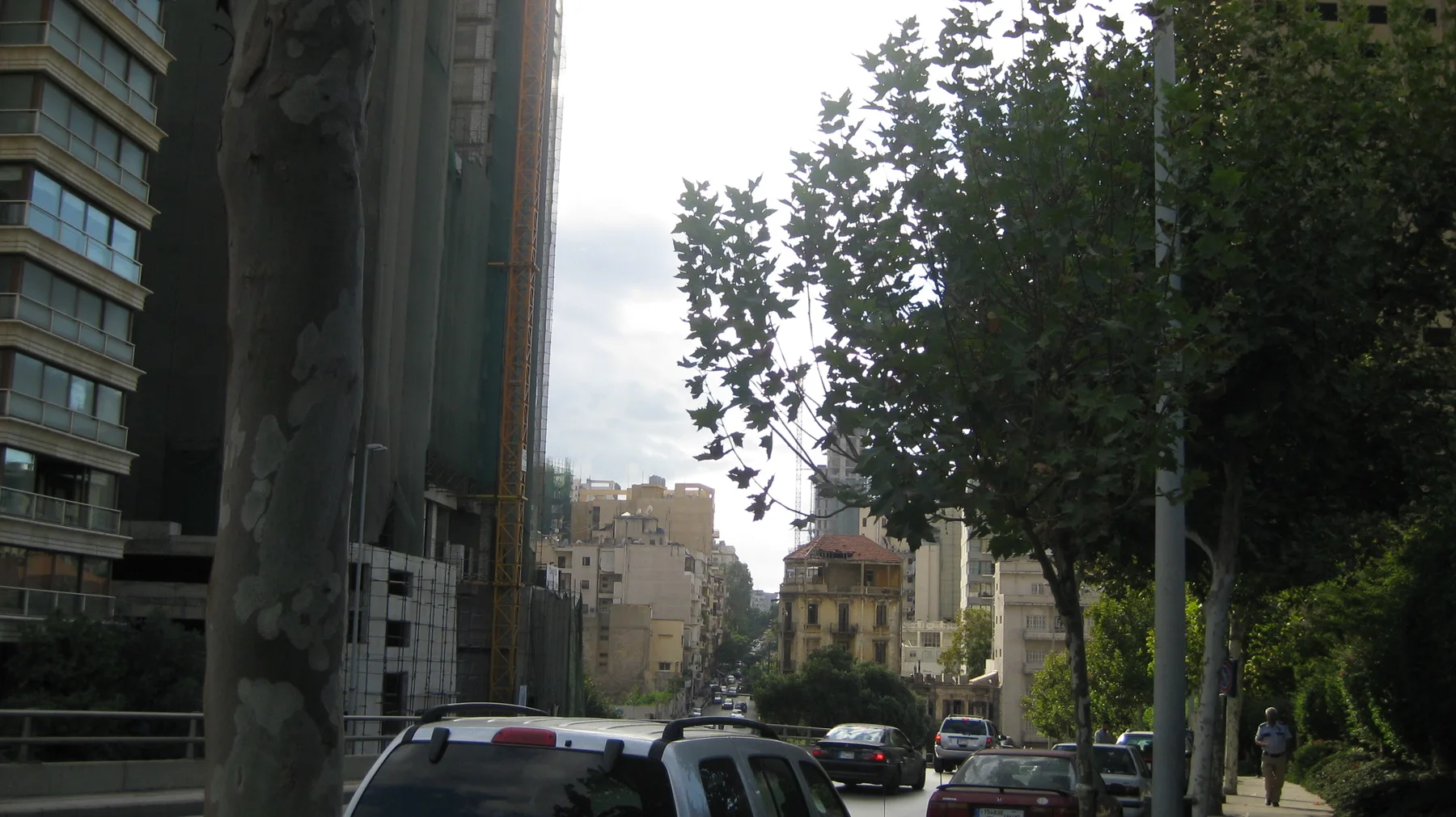 Cars move beneath roadside trees between tall buildings in a shaded urban street.