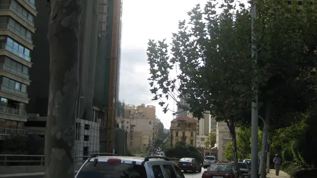 Cars move beneath roadside trees between tall buildings in a shaded urban street.