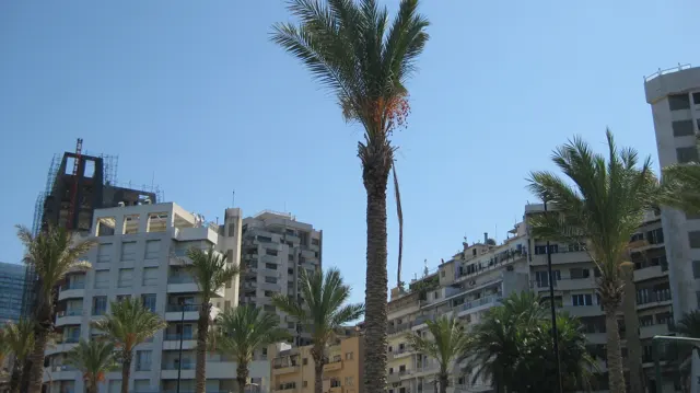 Tall palms frame a street between pale apartment buildings under bright blue skies.