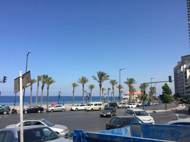 Cars move through a seafront junction beside a line of palms and blue water.