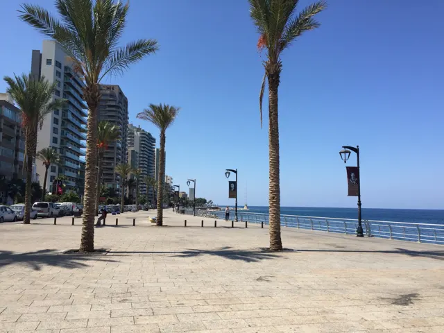 Palm trees cast shadows across a broad paved waterfront walkway beside a blue sea.