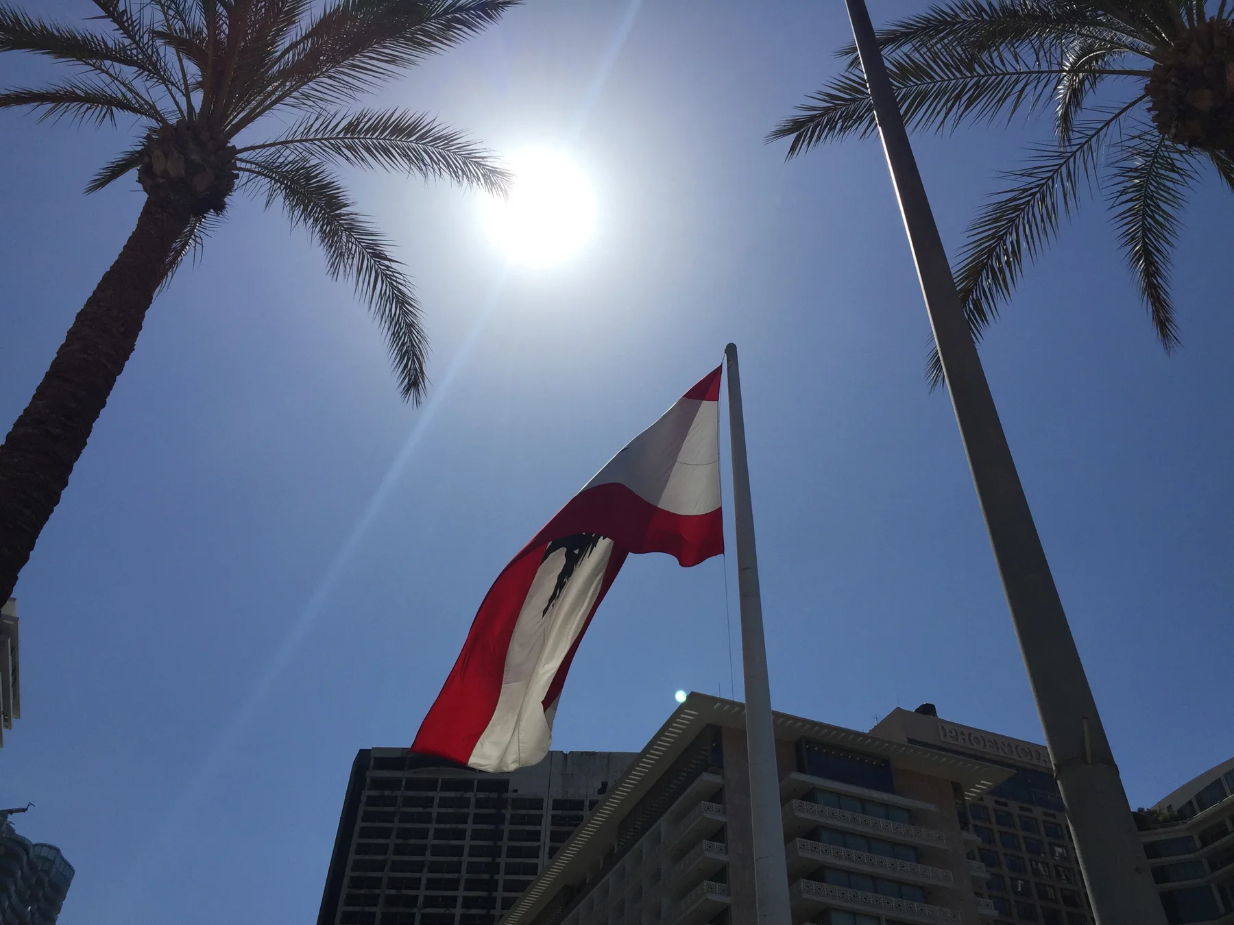 A Lebanese flag and tall palm trunks are silhouetted against bright sunlight in a clear sky.