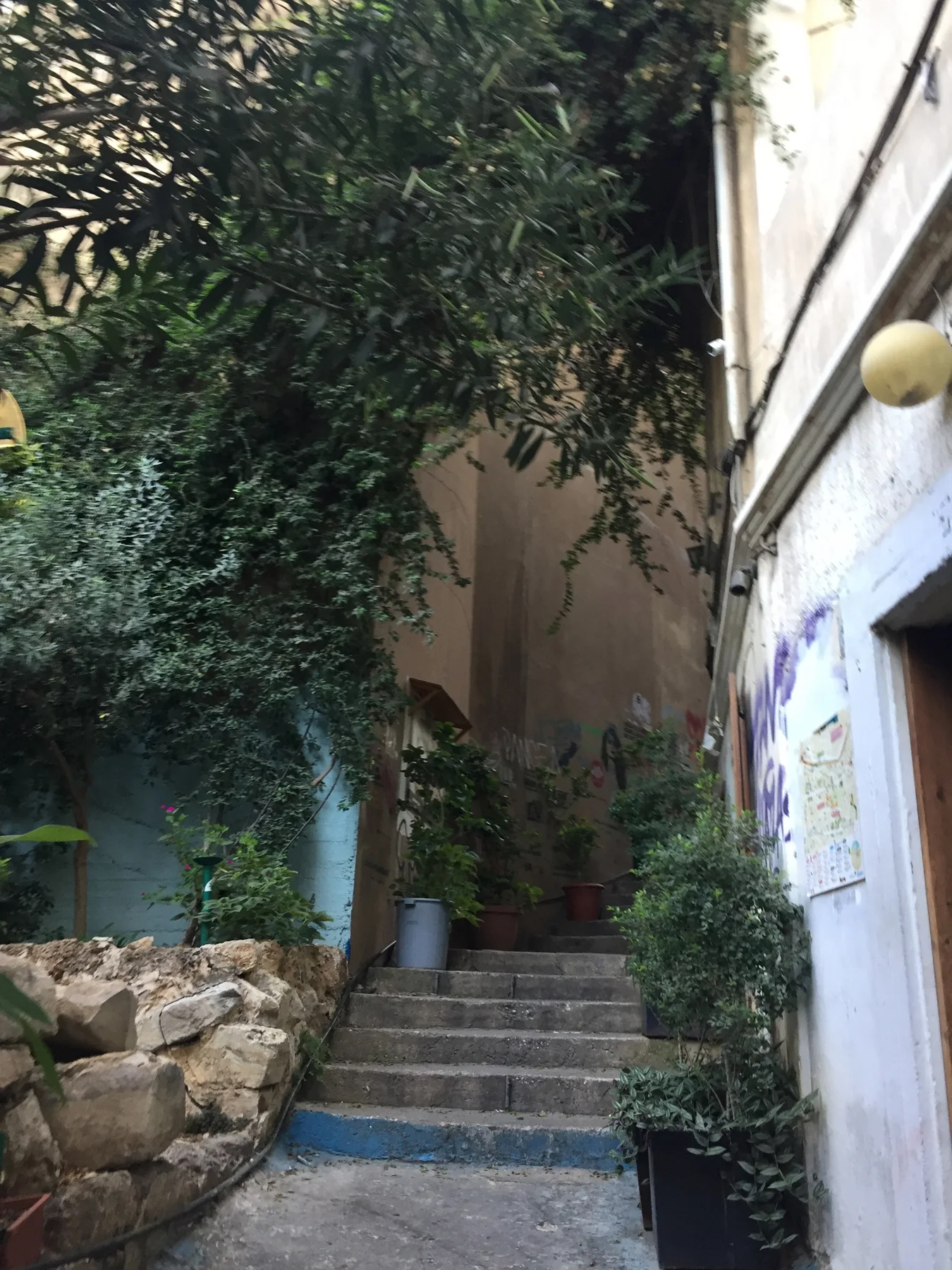 Stone steps climb between white walls, a low rock border and overhanging greenery.