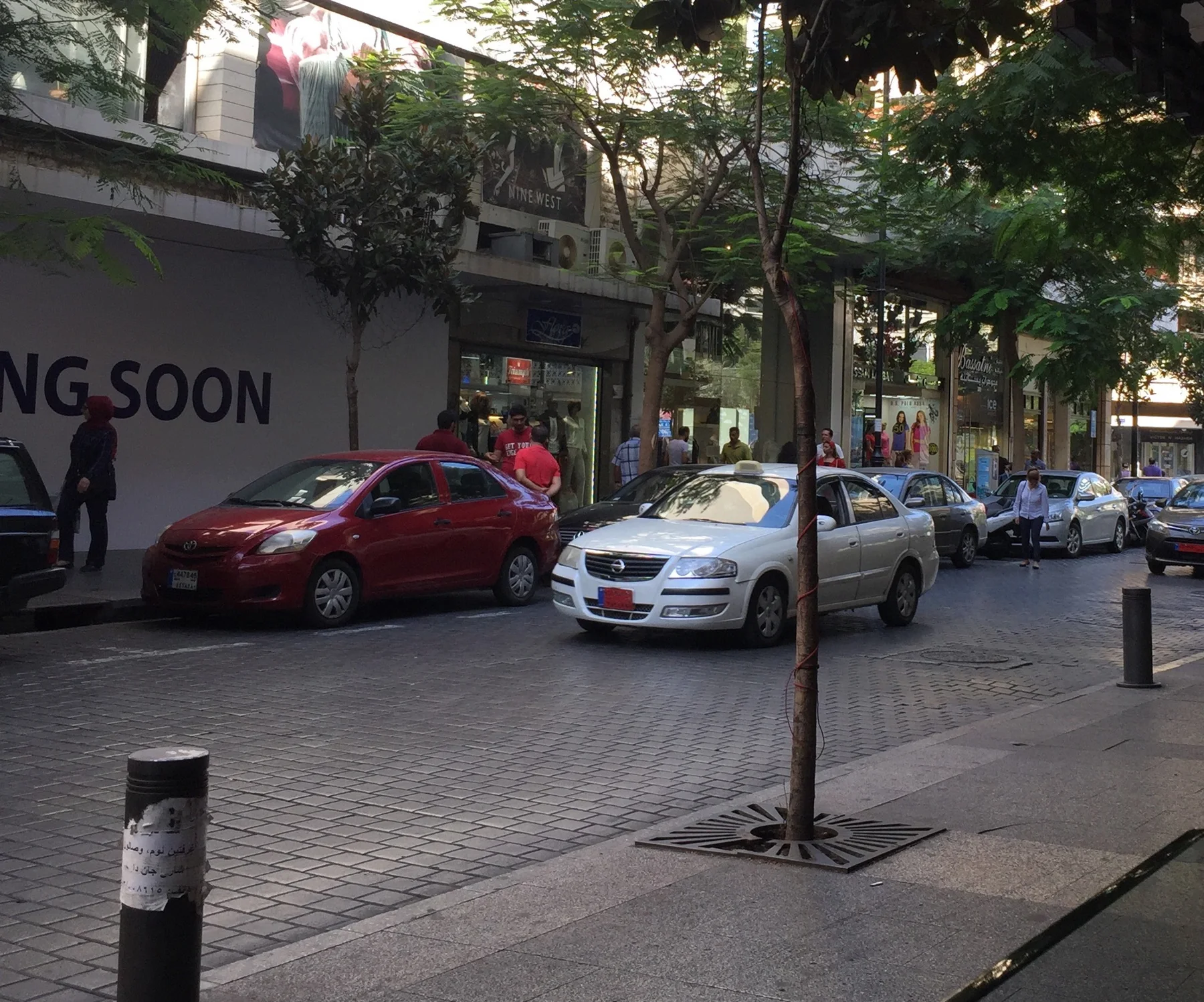 Red and white cars stand along a tree-lined street beside shopfronts and short bollards.