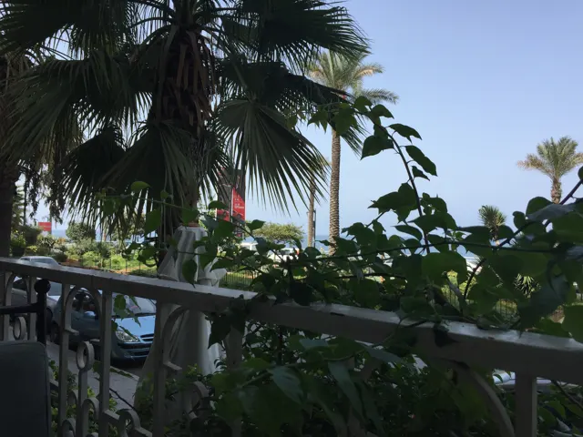 Palm fronds and leafy plants fill a shaded terrace view beside a metal railing.
