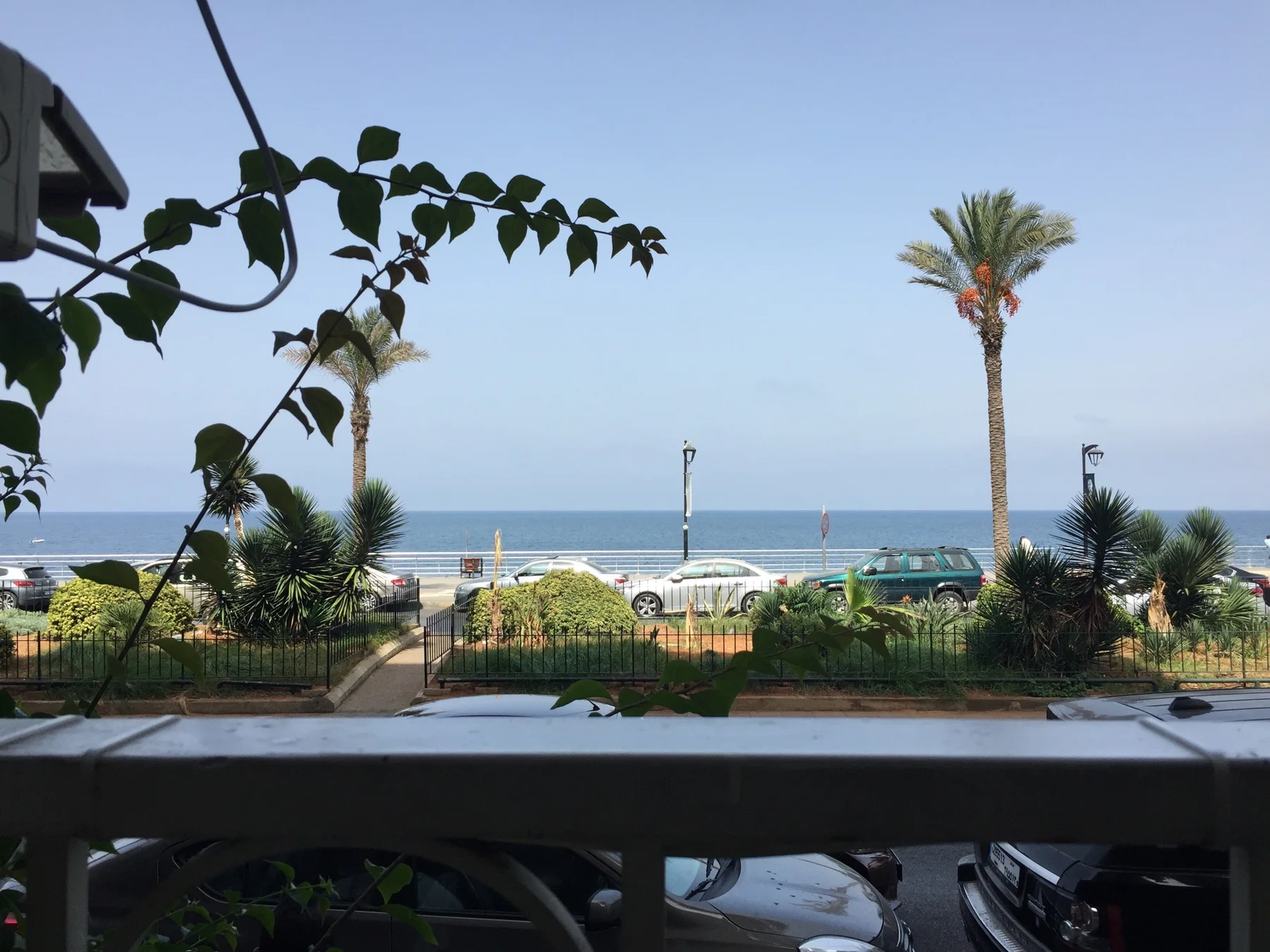 A terrace railing and leafy branches frame palms and a distant blue sea.