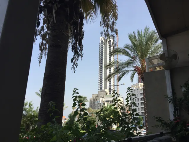 A tall pale tower is glimpsed between palm trunks and foliage from a shaded terrace.