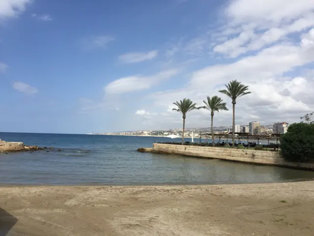 A sheltered inlet opens towards blue water beside a low seawall and a row of palms.