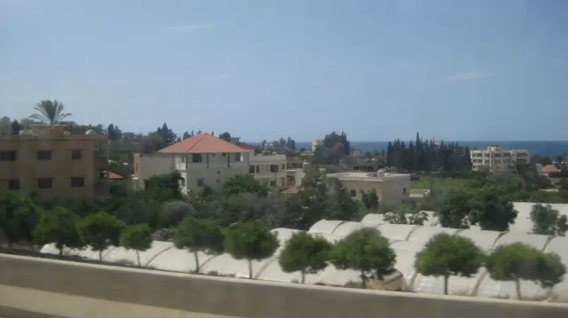 Clipped trees, pale roofs and low houses cover a slope near the distant sea.