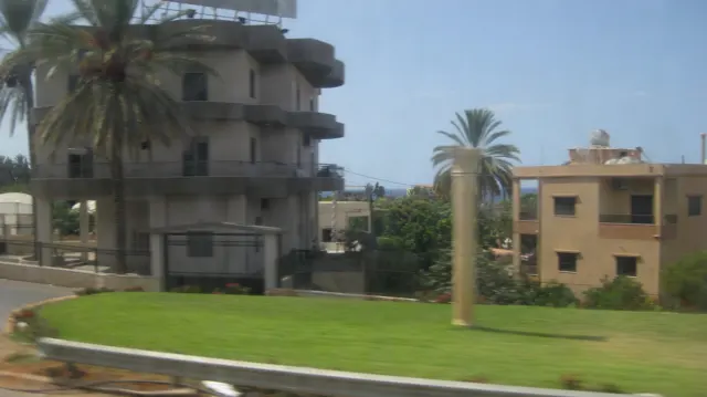 Palm trees stand on a bright green roadside verge before apartment buildings and a small house.