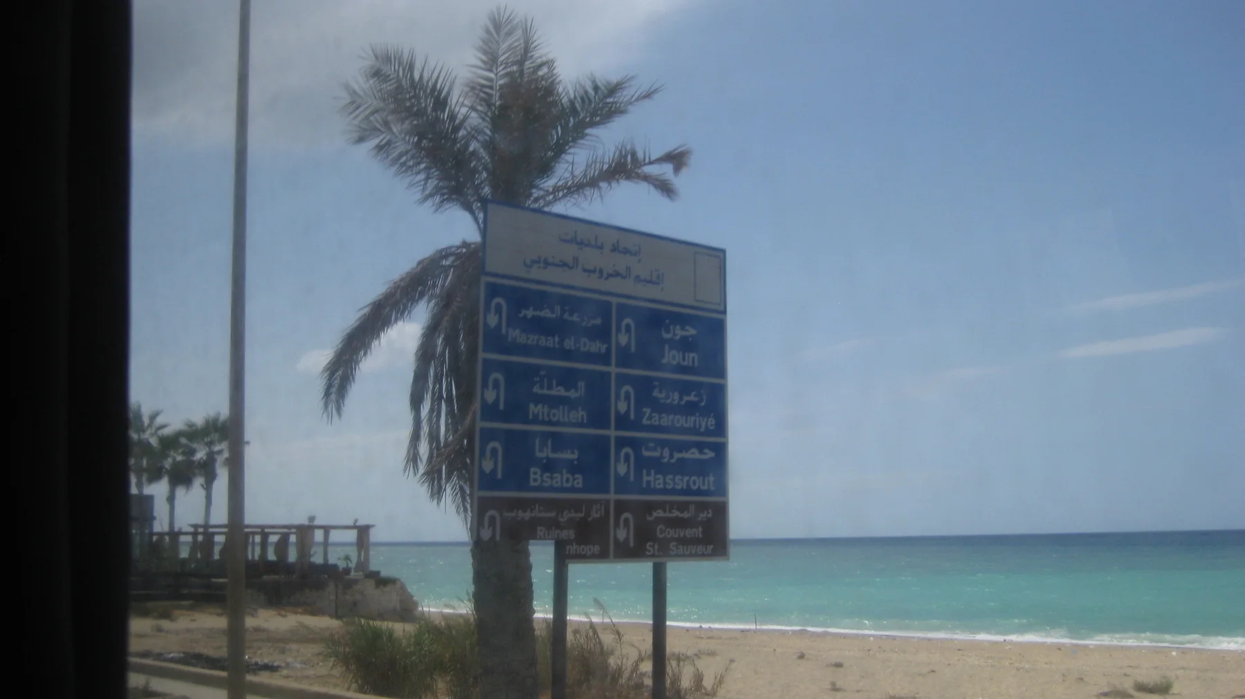 A blue directional sign and palm tree pass in front of turquoise water through a vehicle window.