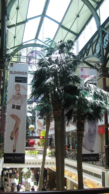 Tall indoor palms rise through a shopping-centre atrium beneath curved glass roofing and hanging banners.