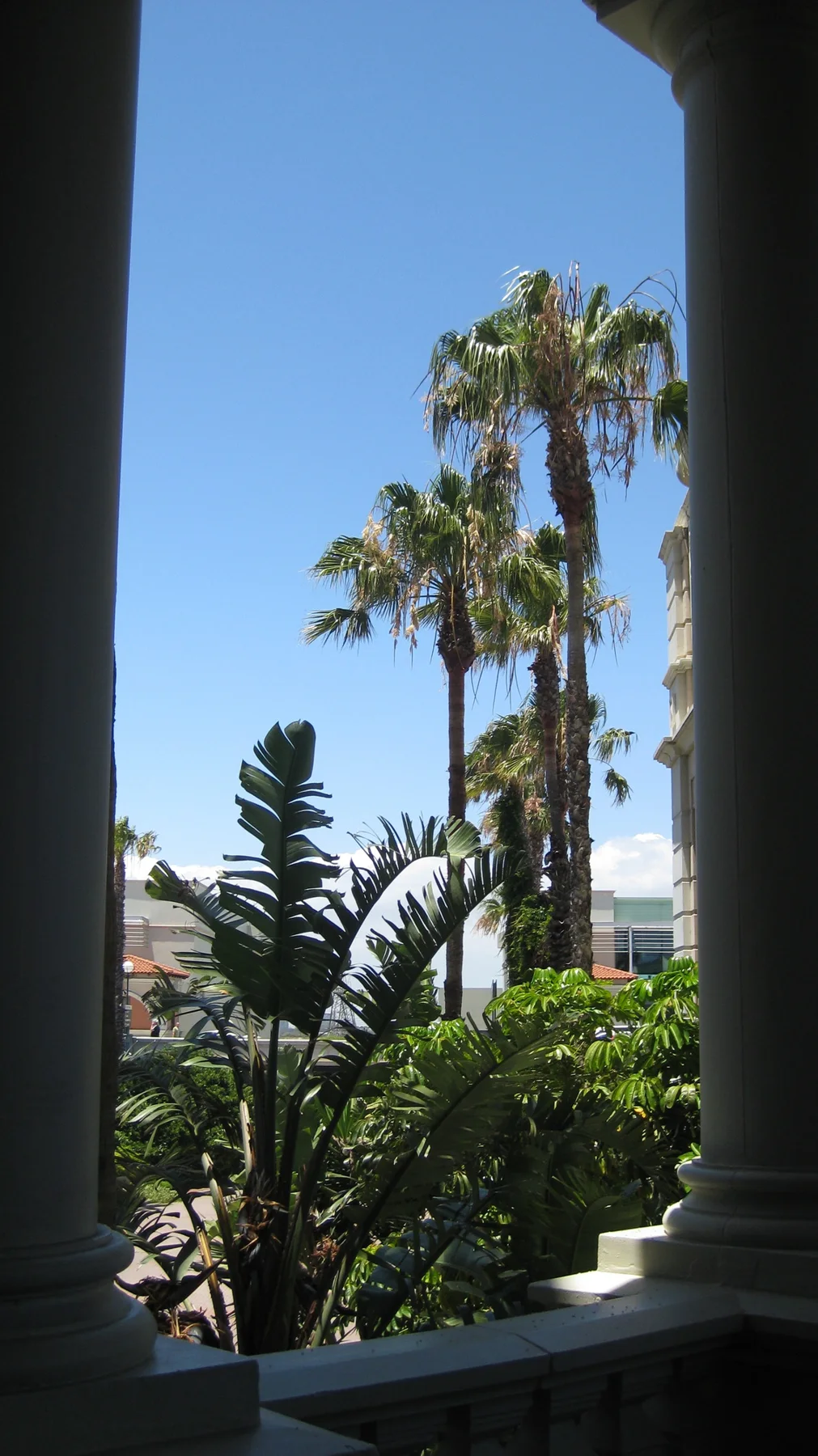 Palm trees and green foliage are seen through a shaded opening between columns, against a bright blue sky.