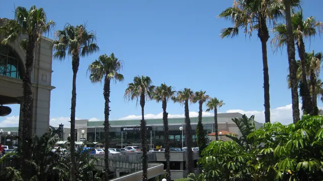 Tall palms line an outdoor area beside buildings and parking spaces, with dense greenery in the foreground.