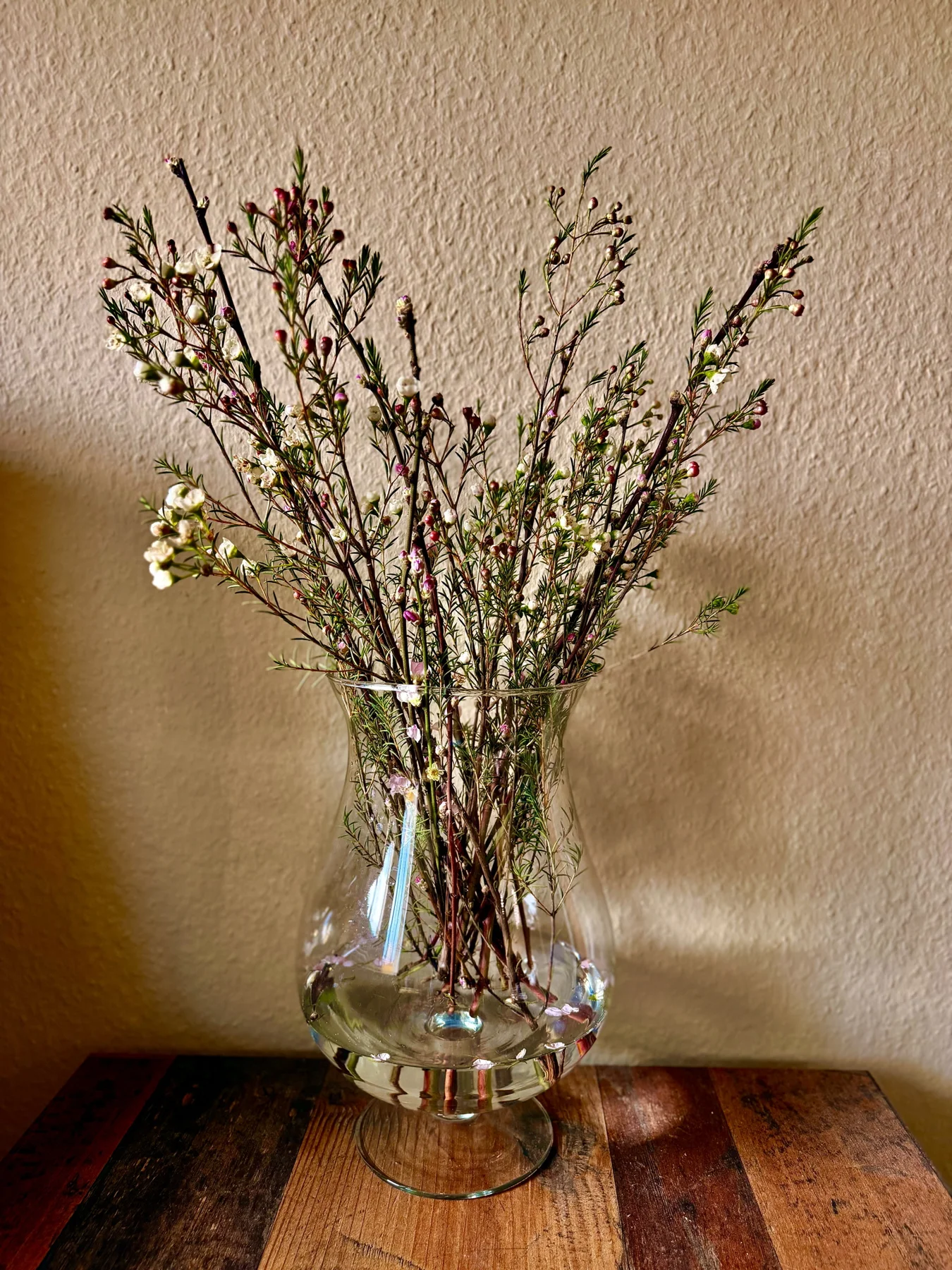 A glass vase holds branching stems with small pale flowers and pink buds, lit warmly against a cream wall.