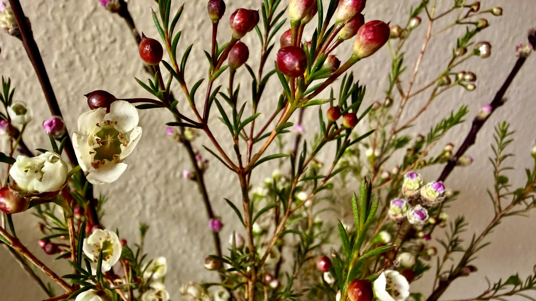 White flowers and pink buds mingle with thin green leaves and tiny purple blooms in a close view of the arrangement.