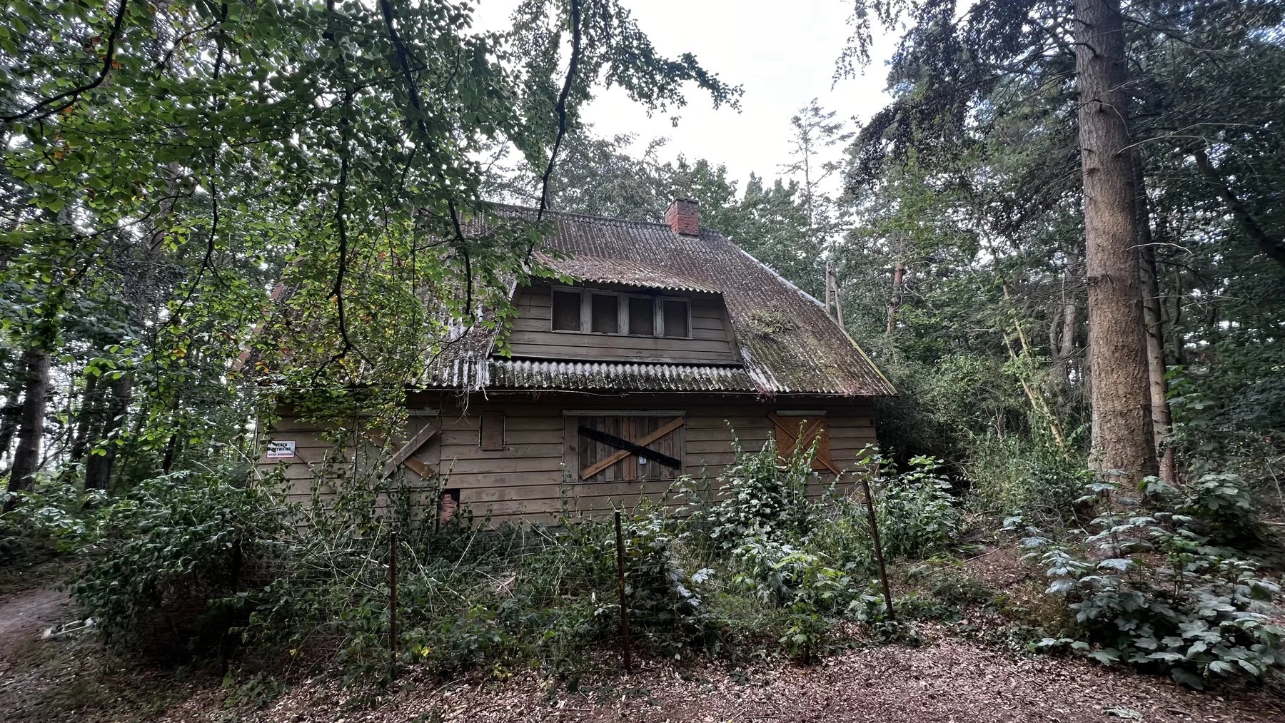A steep-roofed wooden house stands behind shrubs and trees in the woodland.