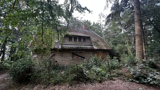 A steep-roofed wooden house stands behind shrubs and trees in the woodland.