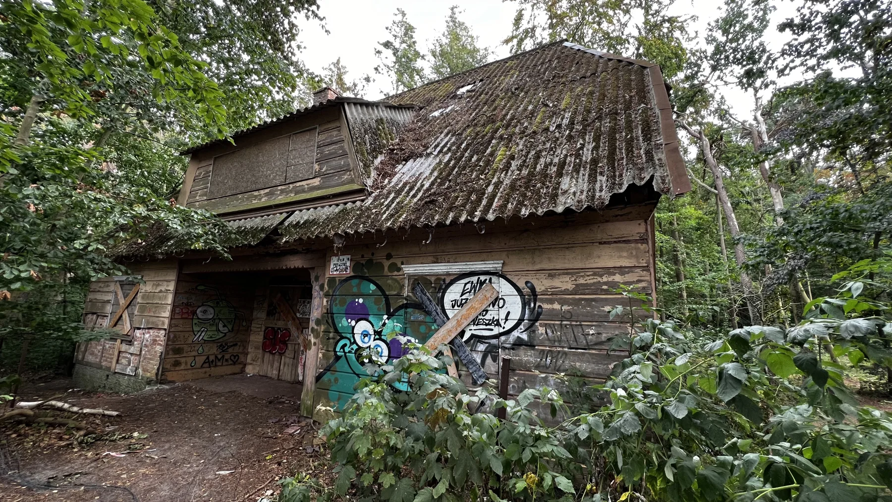Colourful graffiti covers the lower wall of a weathered house beneath a mossy tiled roof.