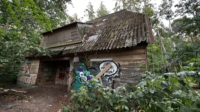 Colourful graffiti covers the lower wall of a weathered house beneath a mossy tiled roof.