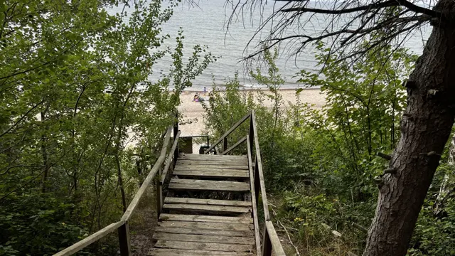 Wooden steps with handrails lead through foliage toward a sandy beach.