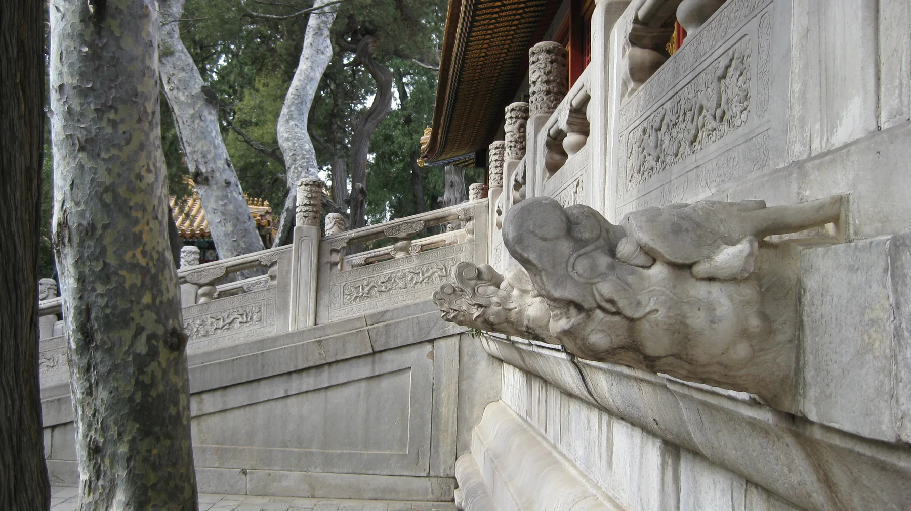A carved animal head projects from a stone terrace wall beneath decorated balustrades, beside a tree trunk.