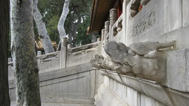 A carved animal head projects from a stone terrace wall beneath decorated balustrades, beside a tree trunk.