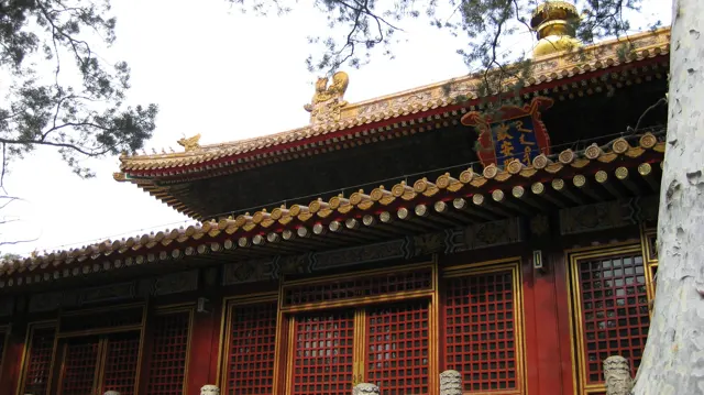 A red building with lattice panels sits beneath richly decorated eaves and golden roof tiles, framed by tree trunks and branches.