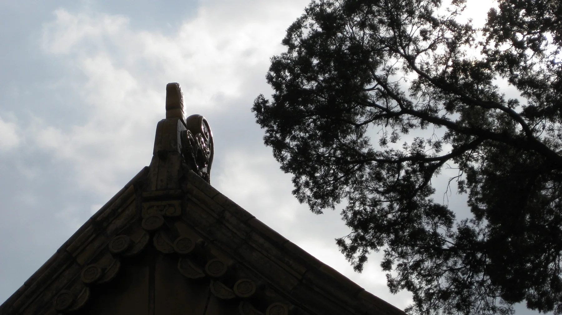 A dark roof ridge and its small ornament stand in silhouette beneath tree branches and a cloudy sky.