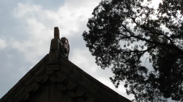 A dark roof ridge and its small ornament stand in silhouette beneath tree branches and a cloudy sky.