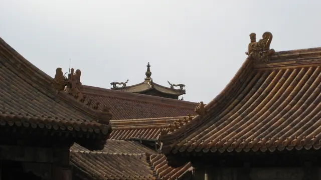 Several golden-brown tiled roofs overlap, with curved corners and small ridge figures beneath an overcast sky.