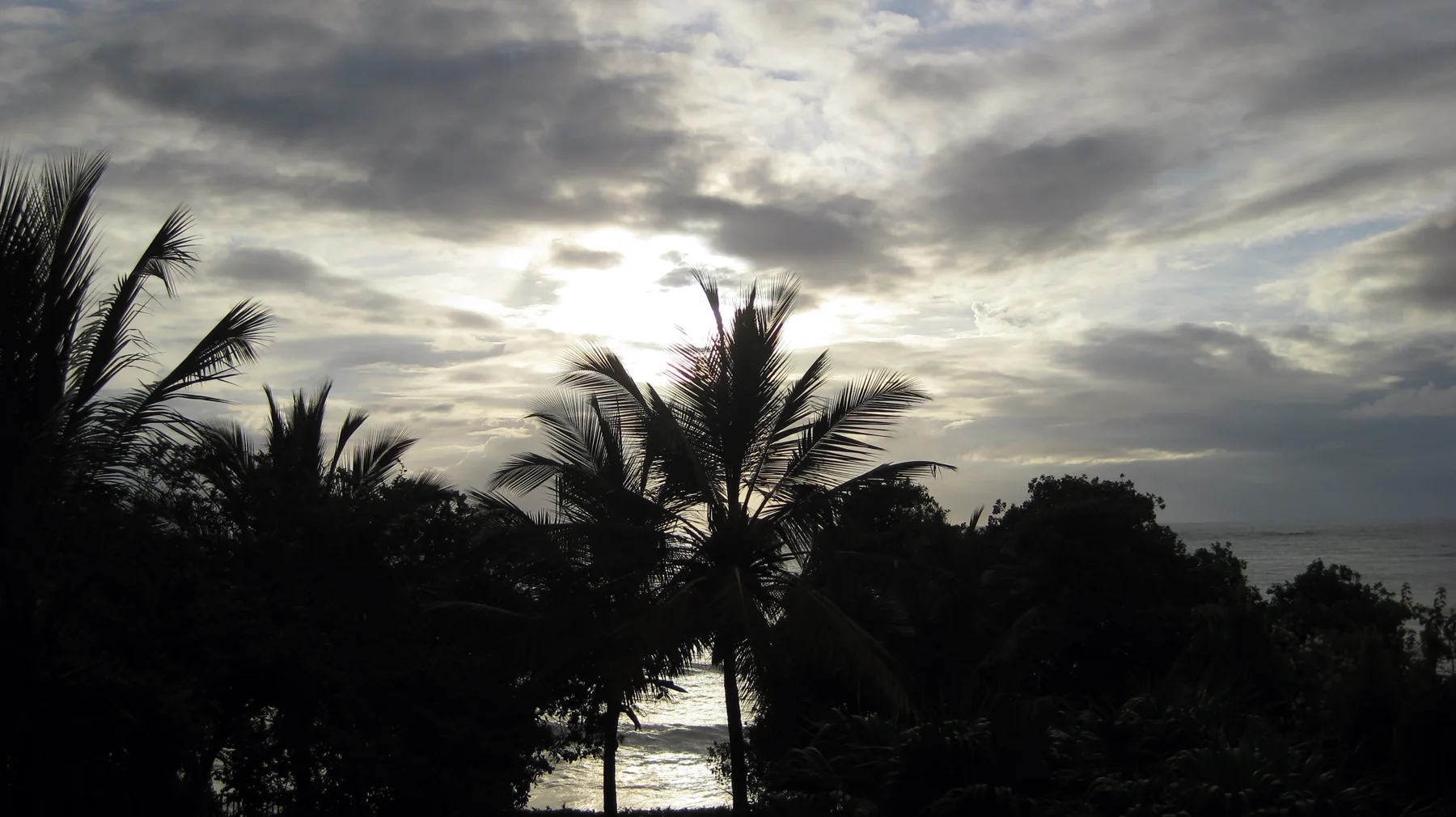 Palm trees and dense foliage stand in silhouette beneath a bright, cloud-filled sky, with a glimpse of the sea beyond.