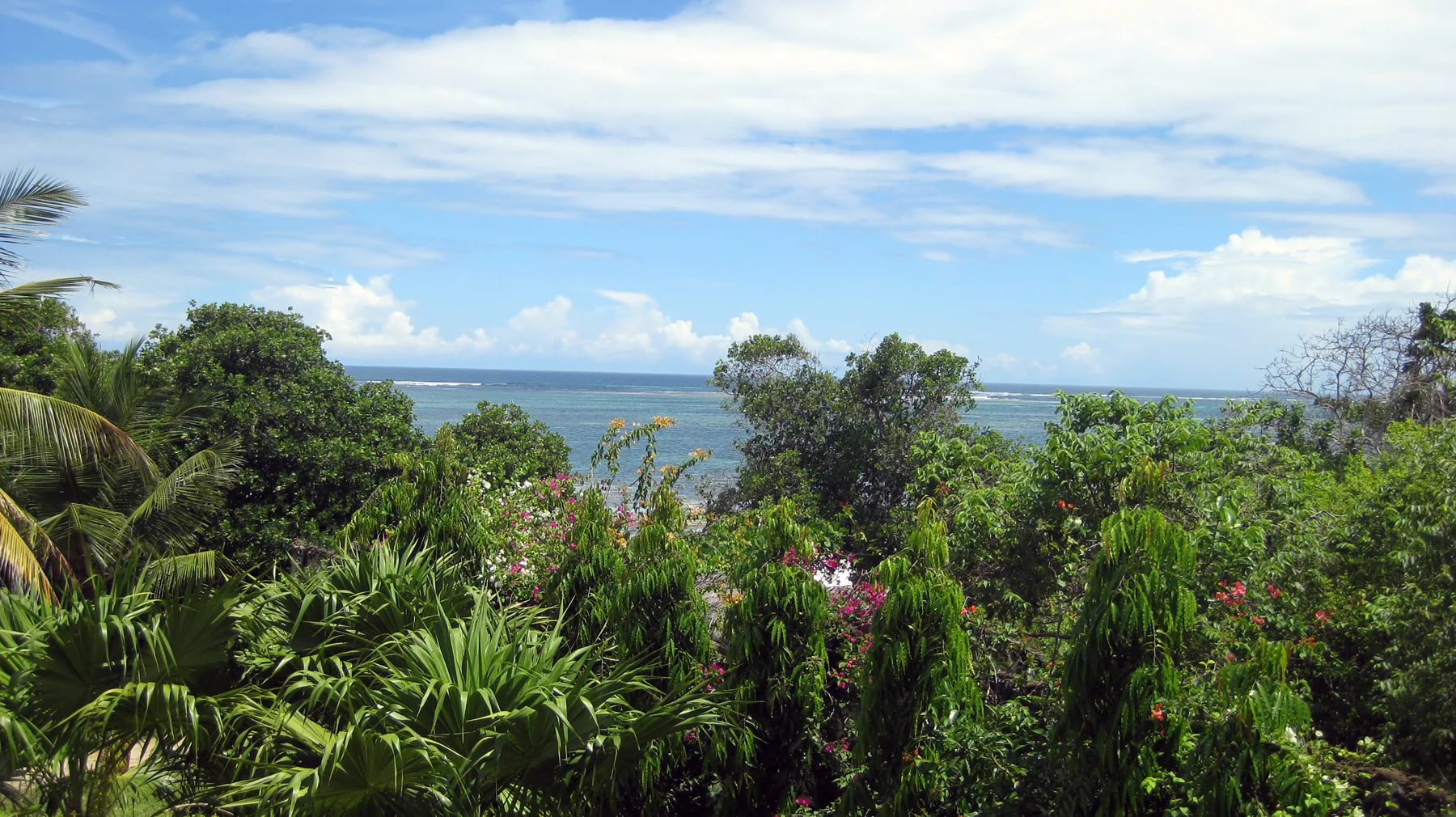 Layers of green foliage fill the foreground beneath a broad blue sky, with the sea visible beyond the trees.