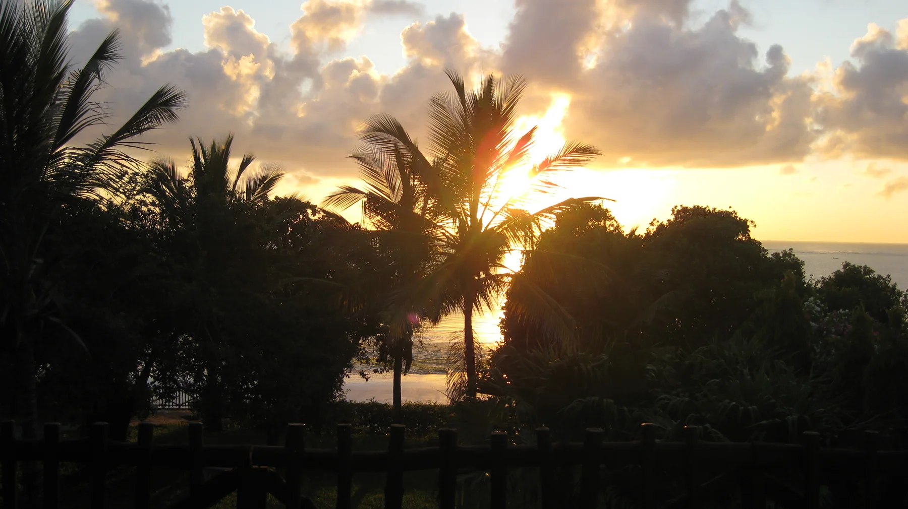 Golden sunlight breaks through clouds behind a palm tree, silhouetting coastal foliage above a glimpse of the water.