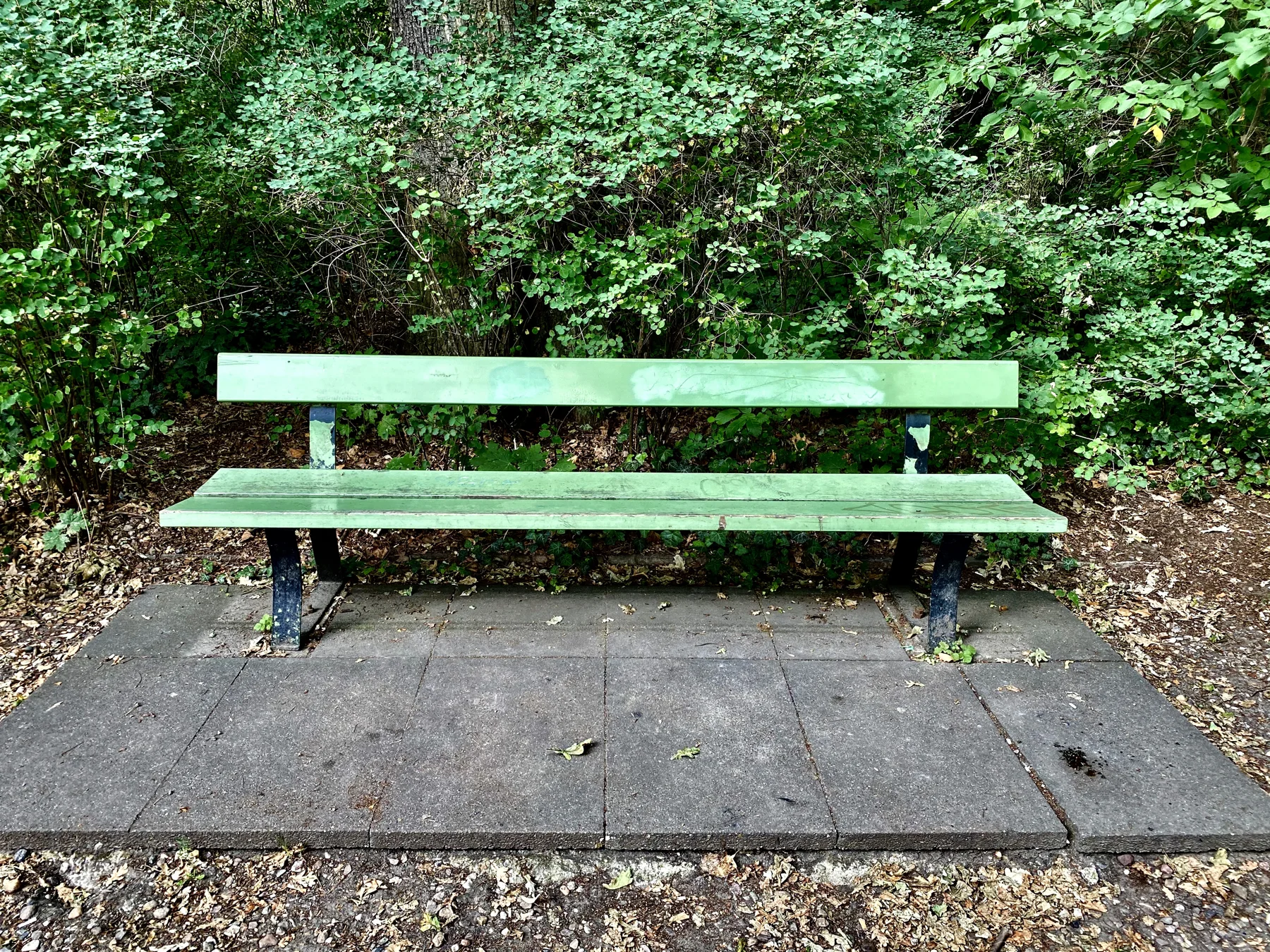 An empty green wooden bench stands on paving slabs in front of dense foliage, with fallen leaves around its base.