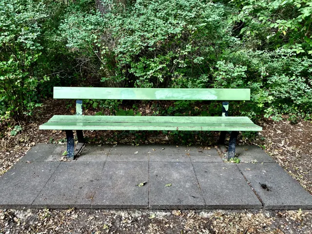 An empty green wooden bench stands on paving slabs in front of dense foliage, with fallen leaves around its base.