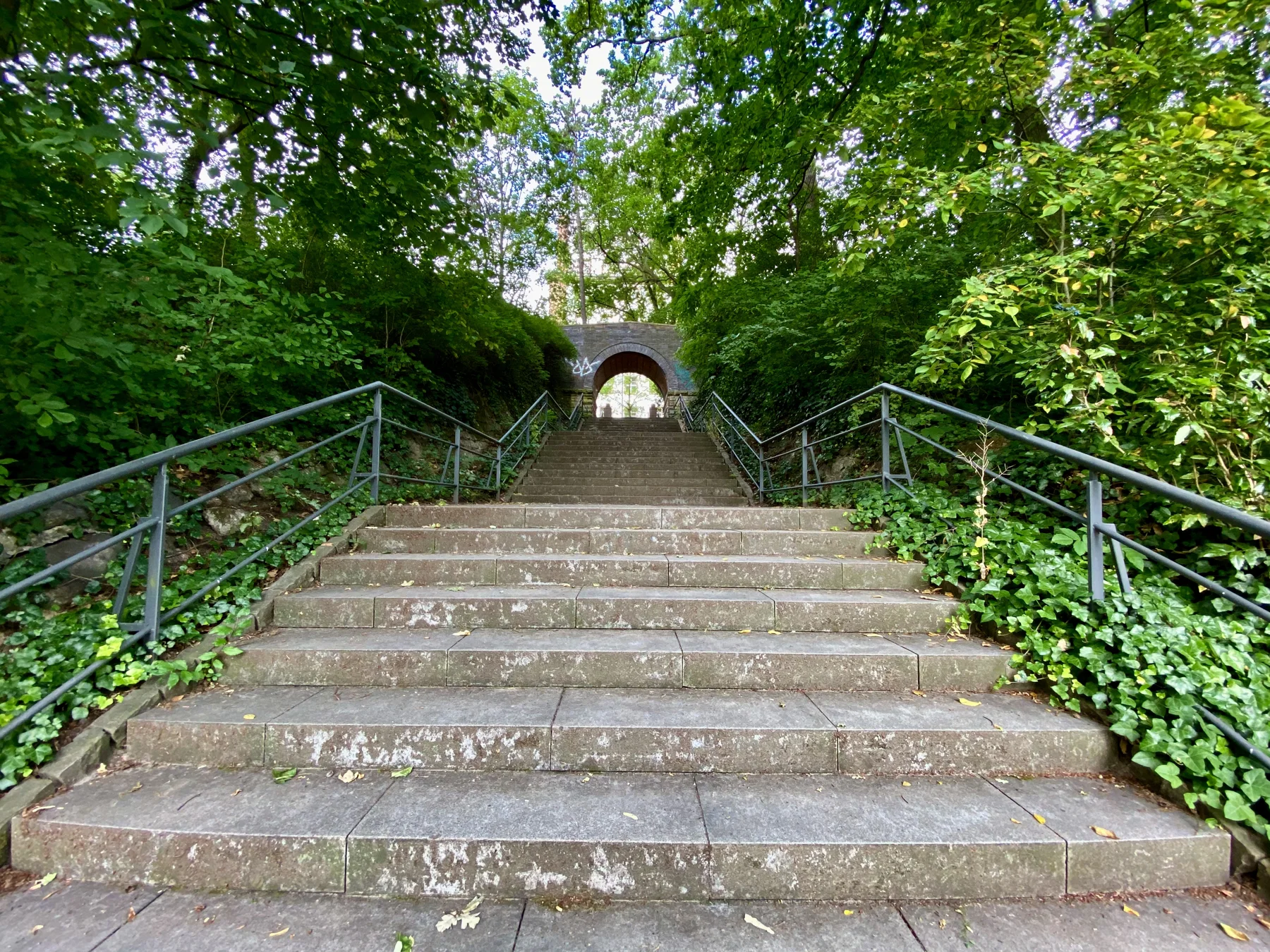 A broad flight of stone steps rises between metal handrails and dense greenery towards a small archway.