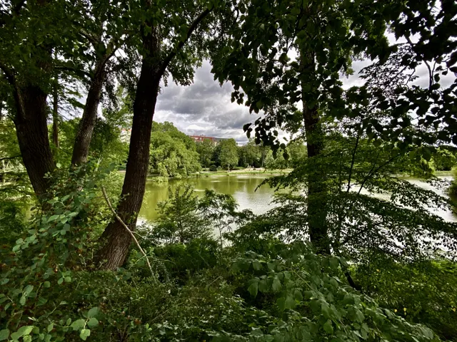 A lake is glimpsed between shaded tree trunks and leafy branches, with greenery and a brighter patch of sky beyond.