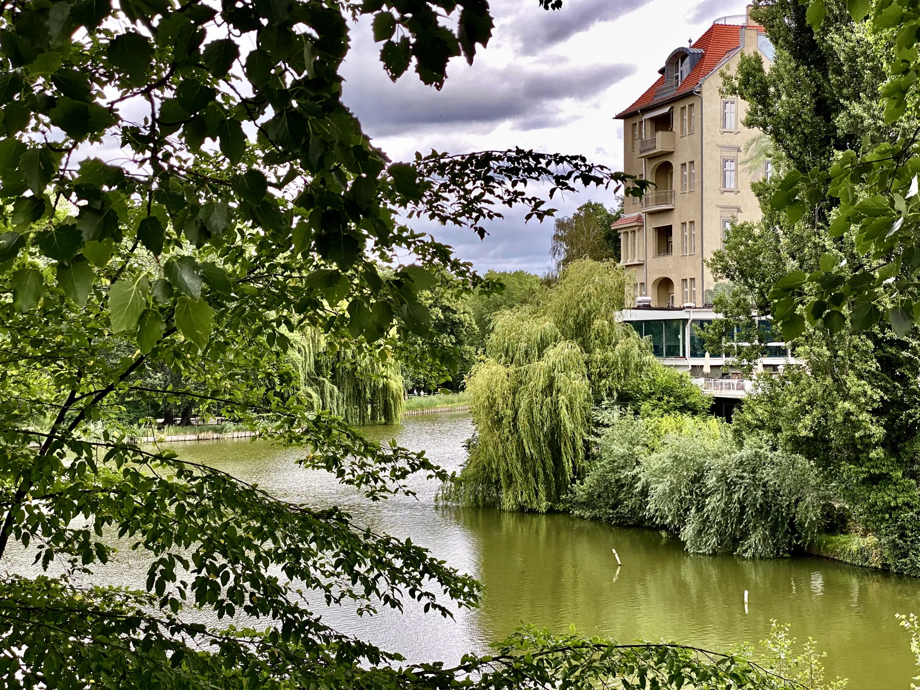 Leafy branches frame a view across greenish water towards overhanging trees and a pale apartment building with a red roof.
