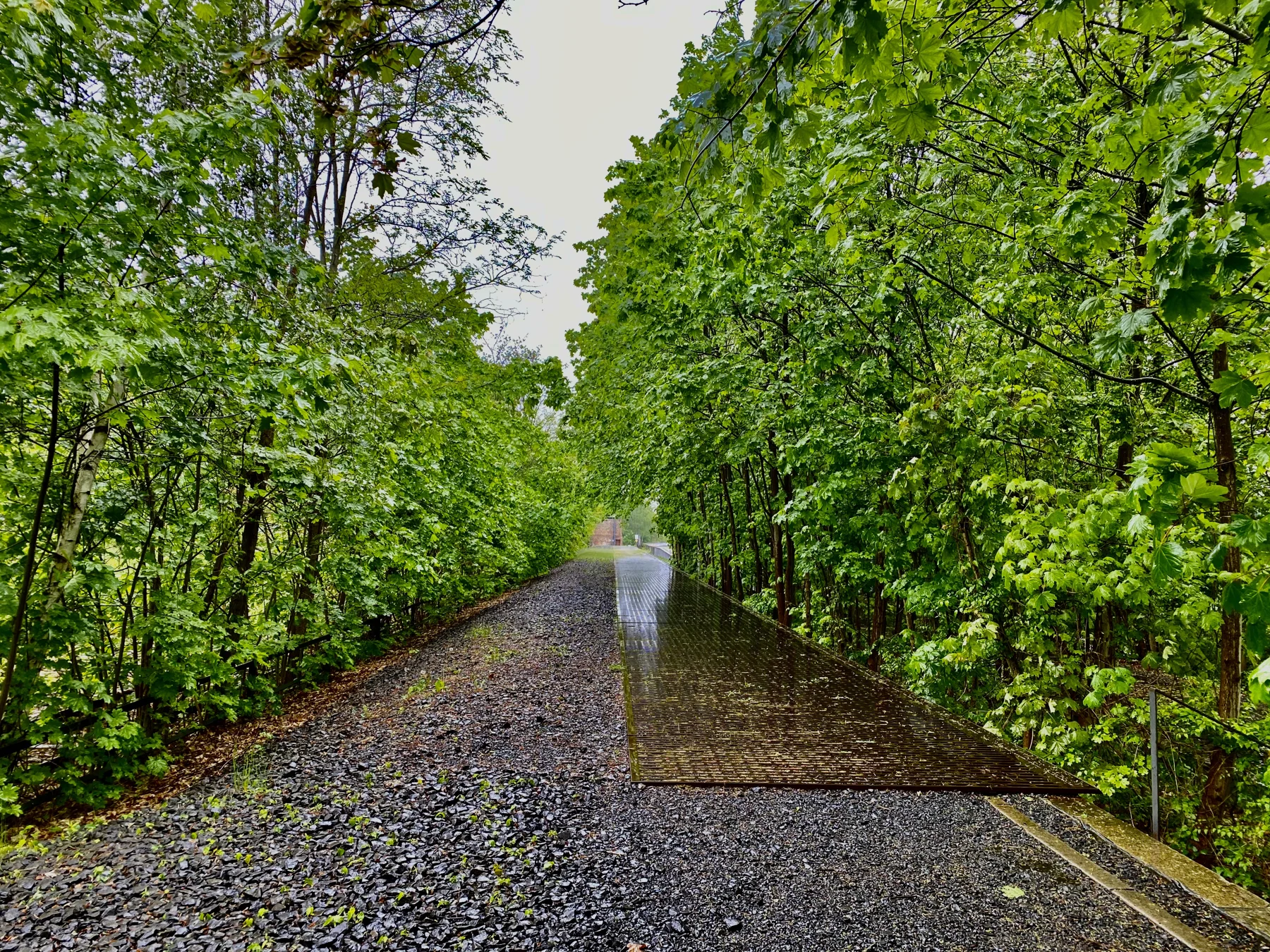 A long platform surface stretches into the distance between dense green trees, with gravel on one side and a metal walkway on the other.