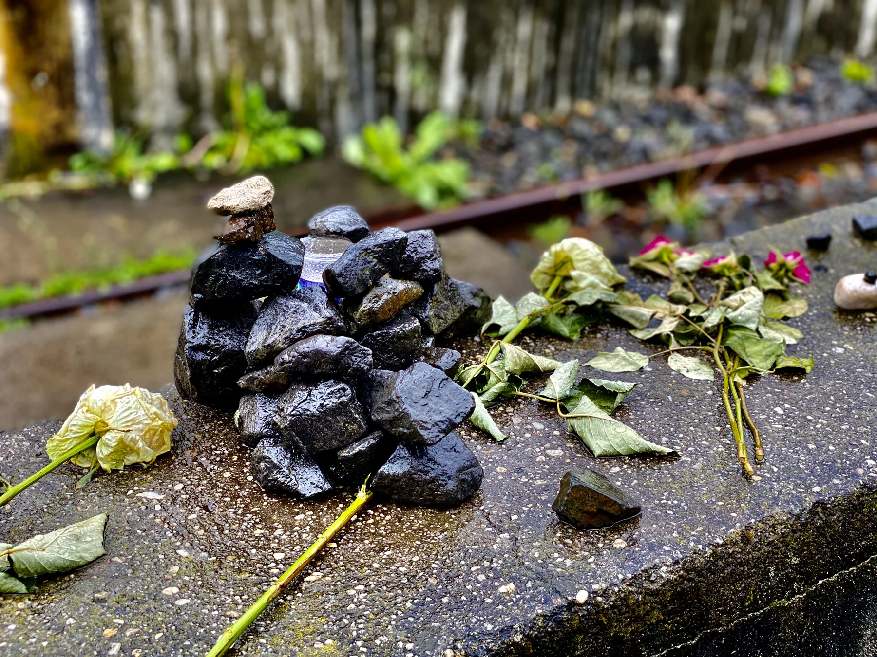 A small pile of dark stones and several flowers rest on a low ledge beside a railway track, against a softly blurred background.