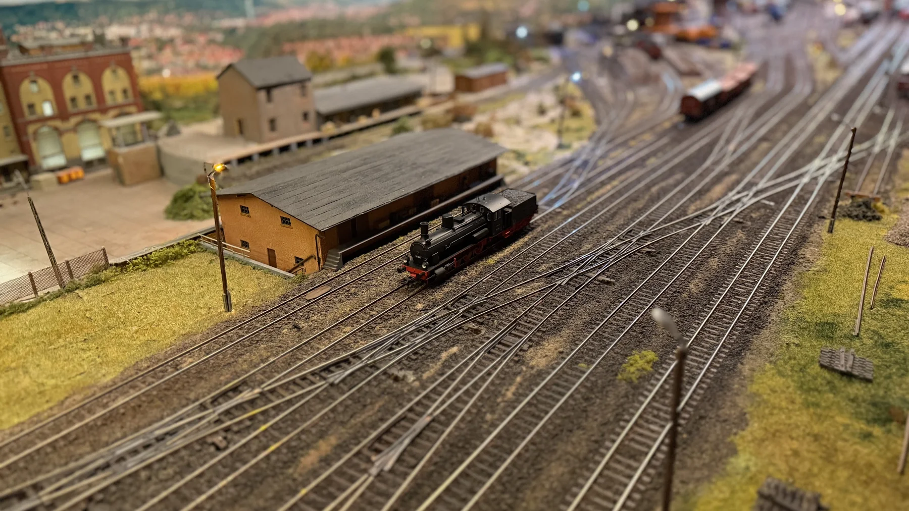 Multiple model railway tracks converge beside a long shed and small station buildings.