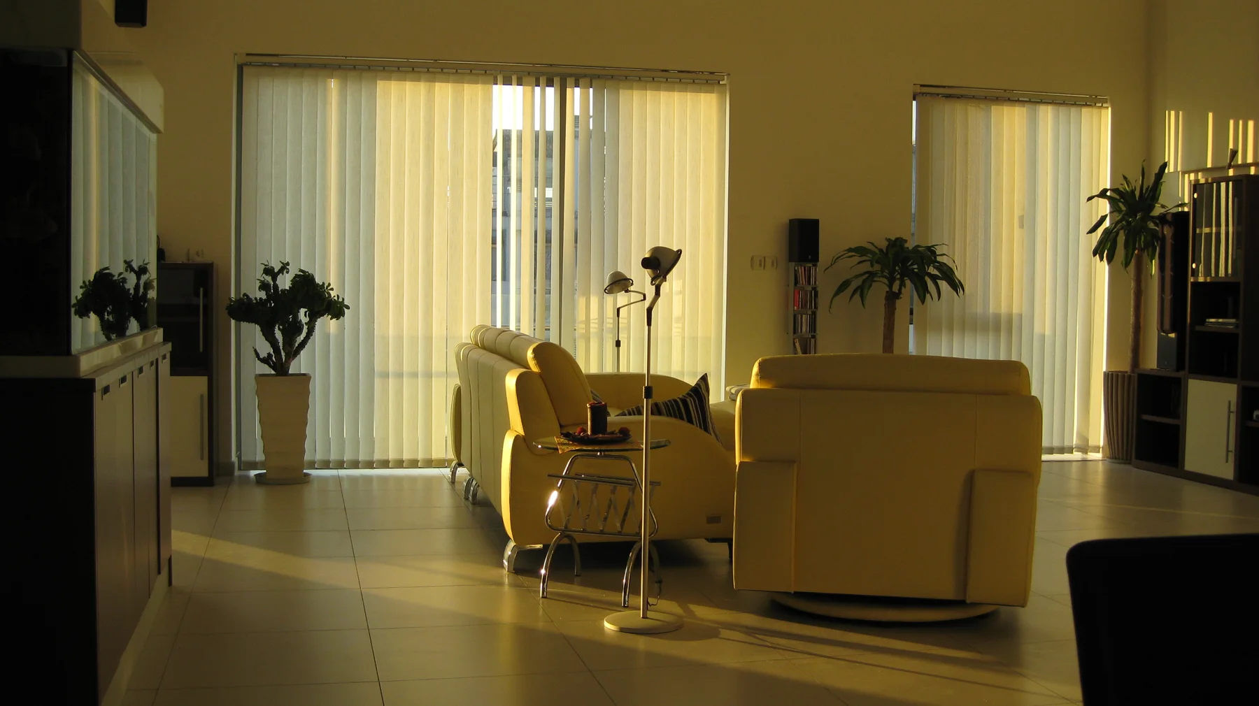 Pale armchairs, houseplants and a small table sit in a sunlit room with tall windows and vertical blinds.