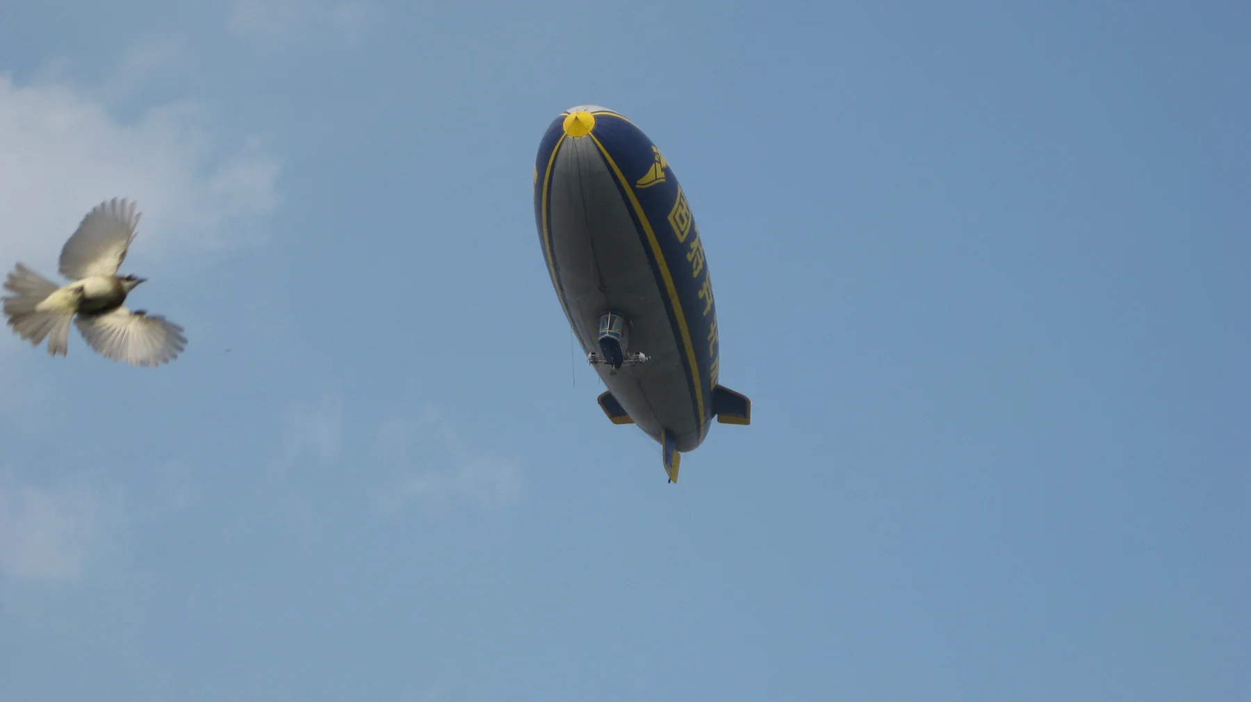 A dark blue airship with yellow markings floats against a blue sky, with a bird passing at the left edge.