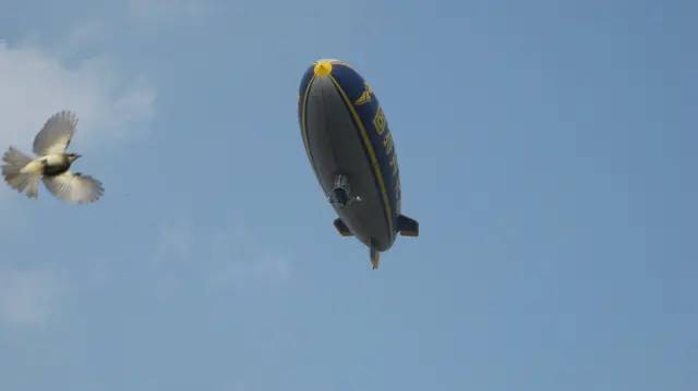 A dark blue airship with yellow markings floats against a blue sky, with a bird passing at the left edge.