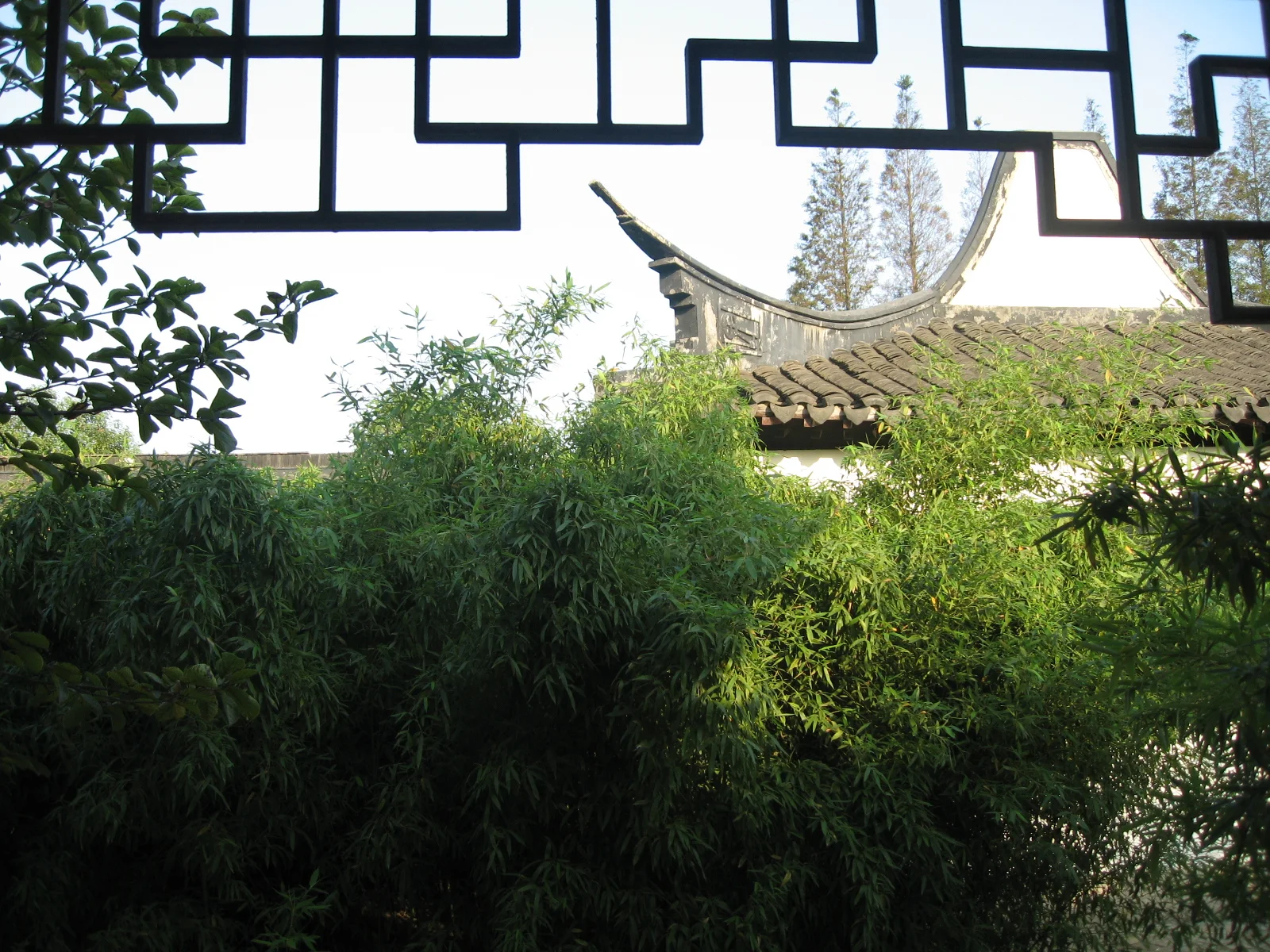 Geometric wooden latticework frames greenery and a curved tiled pavilion roof beyond.